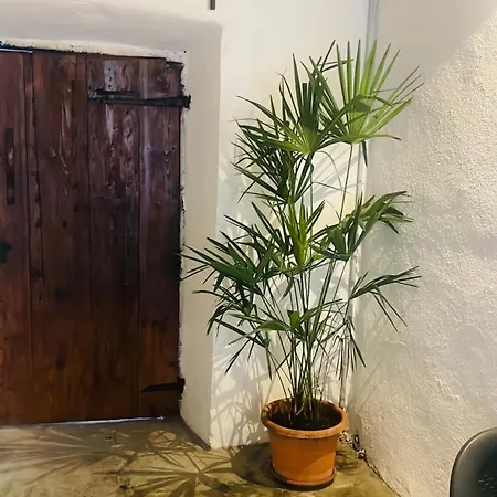 Court House Apartmán *