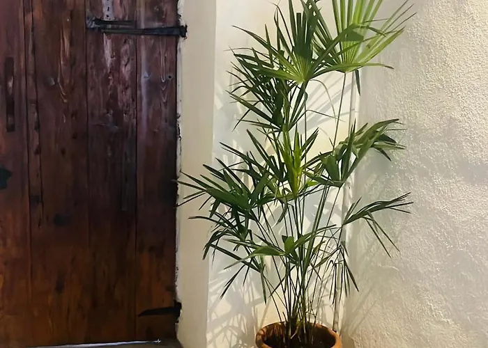 Court House Apartament *